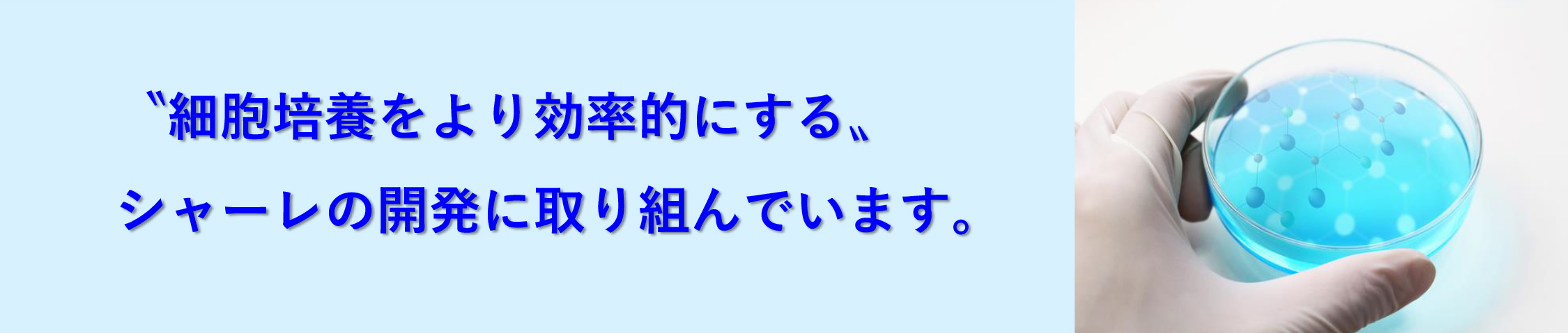 〝細胞培養をより効率的にする〟シャーレの開発に取り組んでいます。